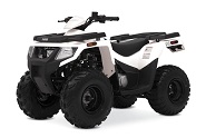 ATVS For Sale